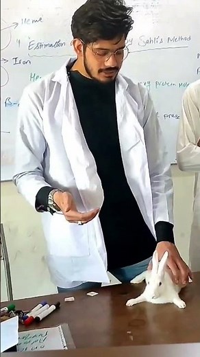 Rabbit experiment 🥼