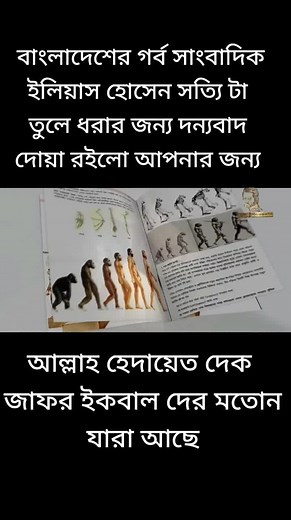 Exploring Evolutionary Theories and Religious Beliefs