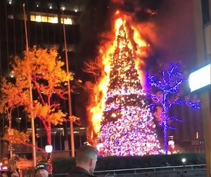 WATCH: Fox News Christmas Tree Set on Fire, Suspect Arrested