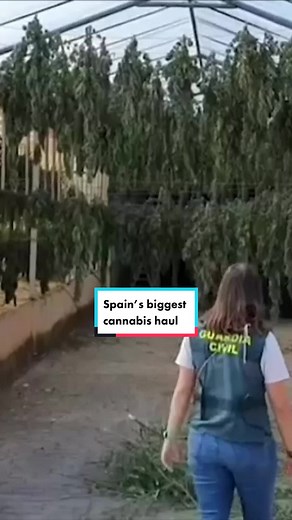 Sky News (@skynews)’s videos with original sound - Sky News