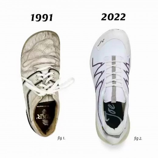 Evolution of Toefreedom®: Past to Present