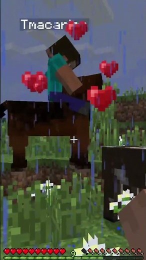 How To Tame a Horse in Minecraft