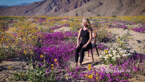 Seated Yoga to Sculpt Your Waist