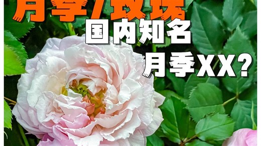 这也许是你们最期待的基地【P3】