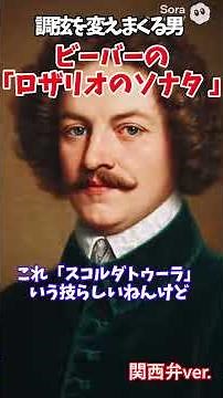 1曲ごとに調弦を変える狂気の作曲家ビーバー ロザリオのソナタ#ビーバー #ロザリオのソナタ #クラシック音楽 #音楽史 #ヴァイオリン #バロック音楽 #雑学 #関西弁 #ナレーション #ショート動画