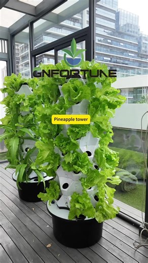 #hydroponicfarming #Hydroponic #agriculture #hydroponicsystem #fyp