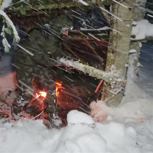Heavy Snow Camping with My Dog in a Spruce Forest ❄️🐺