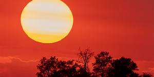 These are the all-time hottest temperatures ever recorded in each state