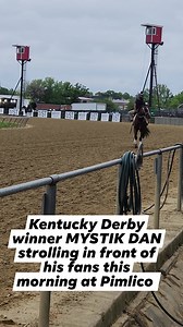 Kentucky Derby winner MYSTIK DAN after his workout this morning at Pimlico ahead of tomorrow's Preakness Stakes. | Horse Racing Today