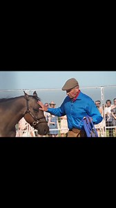 "From My Hands to Yours"—a lifetime of horsemanship, wisdom, and the language of Equus, all in one book. In this essential guide, Monty Roberts shares his revolutionary methods for training and understanding horses through non-violent communication. Whether you’re a seasoned horseman or just beginning your journey, this book offers the tools to build trust, create connection, and work with horses in a way that honors their nature. Get your copy here: https://montyrobertsshop.com/products/from-my