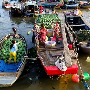 95K views · 8.2K reactions | Cai Rang Floating Market  | Amazing Vietnam | Facebook