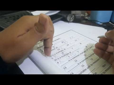 Revision grade 3 part 3