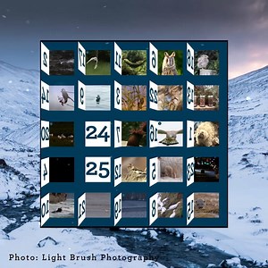 A very Merry Christmas from Gillian, Martin and everyone on the Winterwatch team! 🎄 | BBC Springwatch