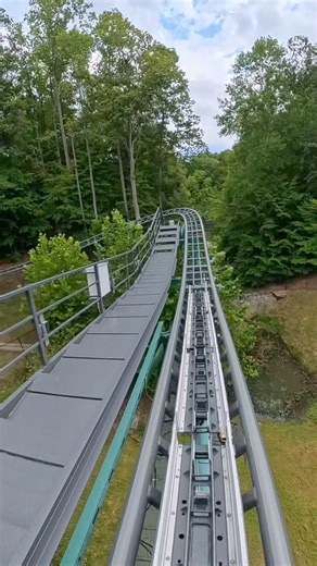 Getting Dragged Into The Black Forest 🪾👁️🪾| 🎢Verbolten at Busch Gardens Williamsburg 🎡 #rollercoaster #buschgardens #verbolten #pov | The Ry Guy