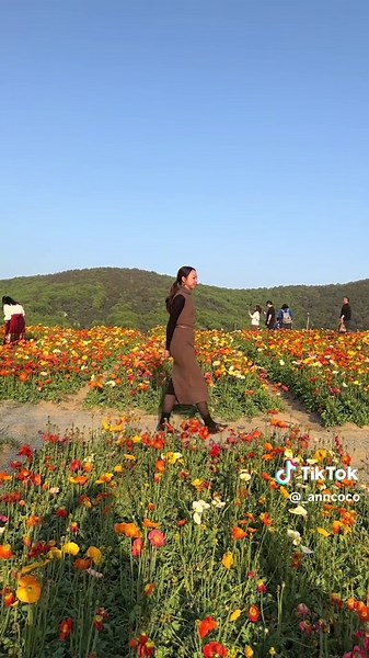 Exploring the Breathtaking Scenery of Wuxi, China
