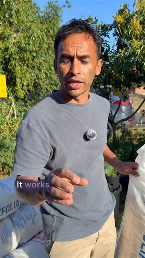 Perlite के हो , किन यो धेरै महत्वपूर्ण छ Outdoor & Indoor Plants लाई कसरी Use गर्ने ? Details Video हजुरहरुको Request मा!! Perlite: The Lightweight Soil Additive for Improved Drainage We talk about what perlite is, why and how it's used. Perlite is a lightweight, white material similar to pumice that can be used to improve drainage around plant roots and in potting mixes or clay soil. It helps prevent water pooling and root rot. The speaker mixes 20% perlite into clay soil to improve its structu