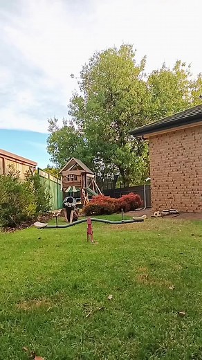 Exploring Therianthropy Beyond Quads: Foxes, Moths, and More! 🌙🌿🪼🕸