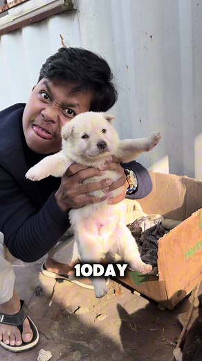 10日と120日の比較