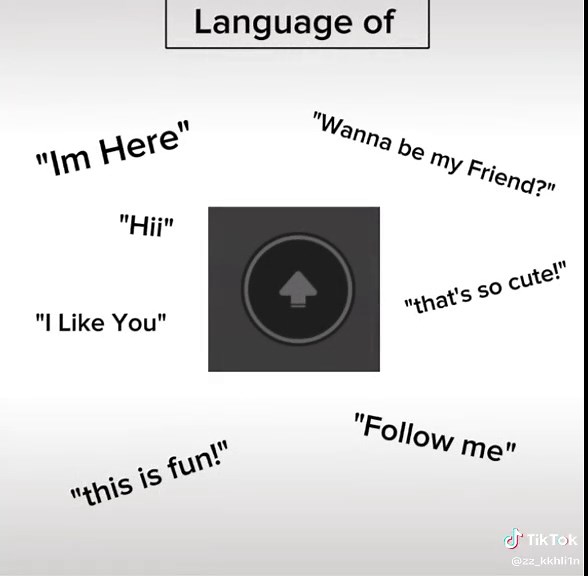 Using Health Potions in Roblox: A Complete Guide