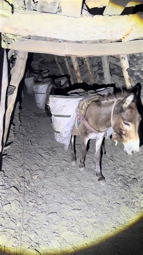 Exploring Conventional Underground Mining Techniques