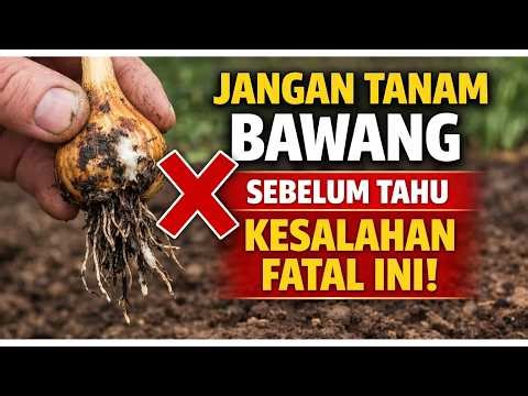 Don't Plant Onions Before Knowing This Fatal Mistake