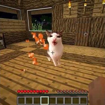 Meme Animals Cats and Dogs part 2 in Minecraft