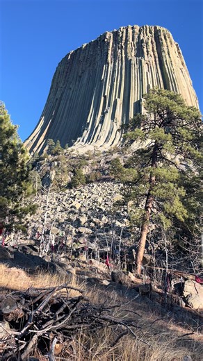 Devils Tower Wyoming..up close and personal..stumpy is pertty big..a beautiful “new years eve” December 31st 2025 #truthseekers #eyeswideopen #devilstower #treestump #beauty