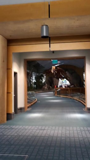Vancouver International Airport Arrival Terminal Experience