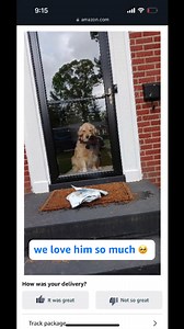 655K views · 884 reactions | Talk about a pup-arazzi moment   | Amazon.com | Facebook