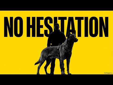 The Moment a Belgian Malinois Decides to Protect You