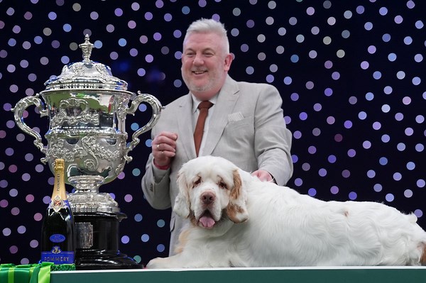 Petition to strip Crufts 2026 'Best in Show' winner of title after 'previous animal cruelty conviction' exposed racks up 15,000 signatures in 24 hours