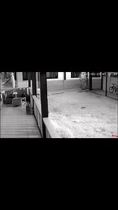 3K views · 22 reactions | Our CCTV footage at home during an Earthquake; magnitude 4.7 here in Maasin City around 7:37Am. Keep safe everyone and let’s all stay alert for possible aftershocks. #highlightseveryone #followerseveryone #highlightsシ゚ #foryoupageシ #earthquake #staysafe #followersreels #follower #foryourpage #foryouシ | Jamhedz Egido | Facebook