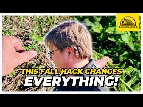The Secret Hack for Easily Planting Fall Cover Crops for Grazing