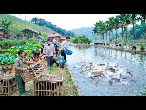 Off-Grid Farming Done for Real — Goat Harvest, Tree Planting & Stone Work