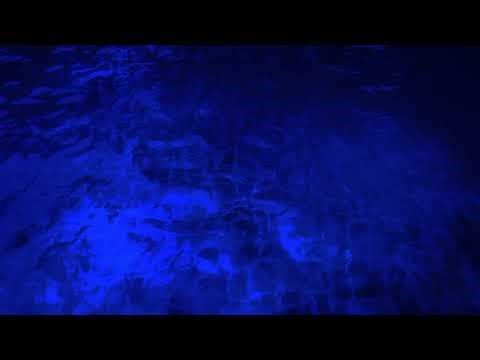 Disney's Fast Play 2004 Blue Background