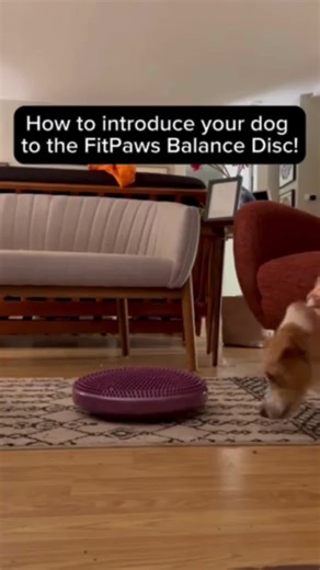 5.6K views · 57 reactions | Need help figuring out where to start...