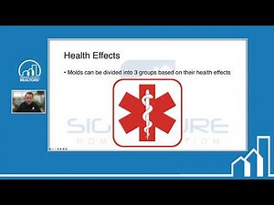 MOLD What You Need to Know About Mold & How to Read Air Sampling Reports
