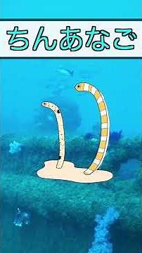 【子供向け 水族館】海の生き物大集合！おさかなの名前を覚えよう！ 【 知育アニメ 】 幼児が喜ぶ、泣きやむ海のずかんアニメ 0,1,2,3,4,5歳 #Shorts