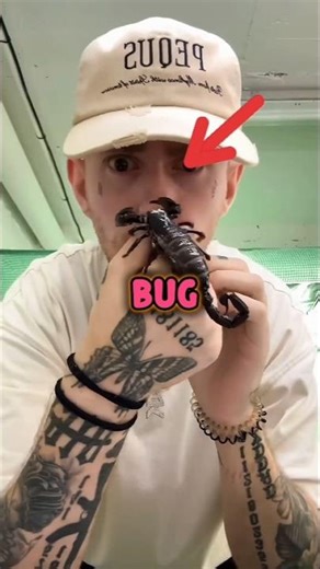 The Computer Bug's Name Origin