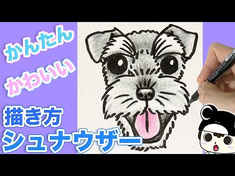 [犬のイラスト] 可愛いシュナウザーの描き方