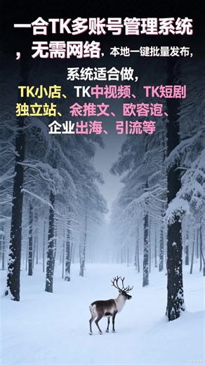 tiktok官方API接口与矩阵系统推广