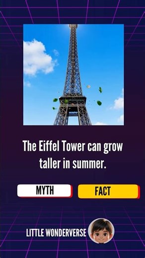 Myth or Fact? 90% of People Get These WRONG 😱 #facts #mythvsfacts #didyouknow #trivia #viral