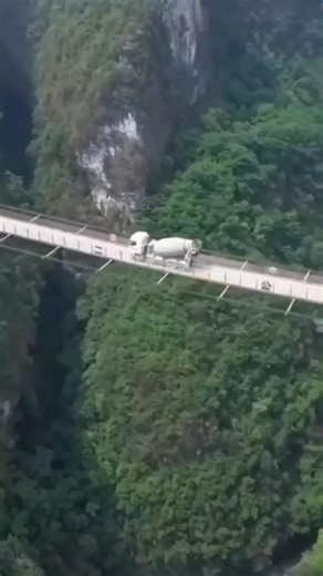Death defying Chinese bridges and insane view from a rock climber