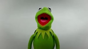 At times like these, staying connected is more important than ever. Naturally, Miss Piggy takes that to a new level. But it does give me a chance to connect with my pals Danny Trejo and Bob Weis! Spread the love, fellas! #RainbowConnectionChallenge | Kermit the Frog