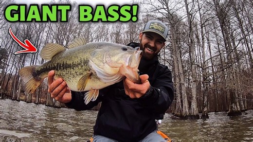 Biggest Bass of the Year at Cypress Lake Guide