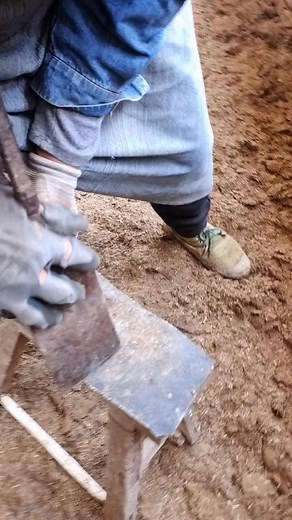 🐎🦶 Clipping hooves regularly ensures healthy growth. #HorseCare #EquineHealth #HoofClipping | NovaVids