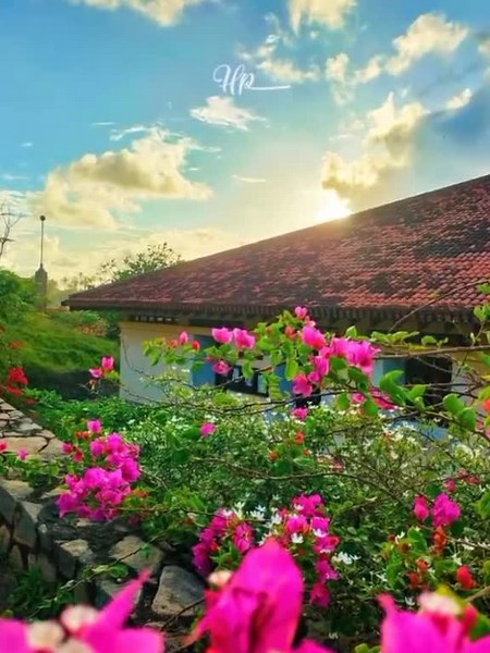 ලස්සන රුහුණ...❤️🥰 #univercityofruhuna #srilanka #uor #tiktok #fyp #foryou #viral