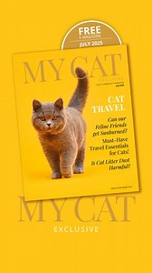 ✨ The NEW magazine issue just dropped! ✨ Discover tons of cat content, including: ✅ Cute kittens ✅ Cat quiz ✅ Fun facts... and more! 📱READ NOW AT https://www.catit.com/my-cat/catit-magazine/my-cat-exclusive-july-2025/ 🔗 | Catit