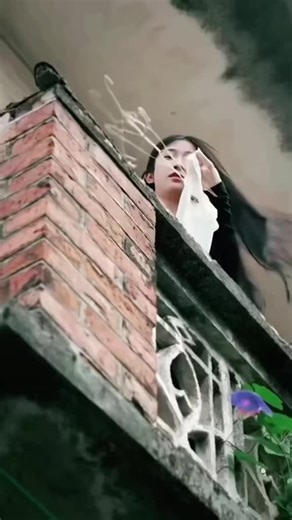 Bài Hát Tí Ngọ Của Tôi - Gia Tiến