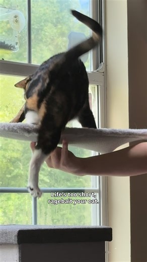 Puddles of Radioactive Slime🧪 | There were several requests for more footage of Puddles playing in the comments of yesterday’s reel, so thought I’d show you guys Puddles... | Instagram